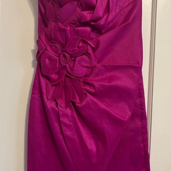 Fuchsia Jessica McClinton strapless cocktail dress - Picture 4 of 10